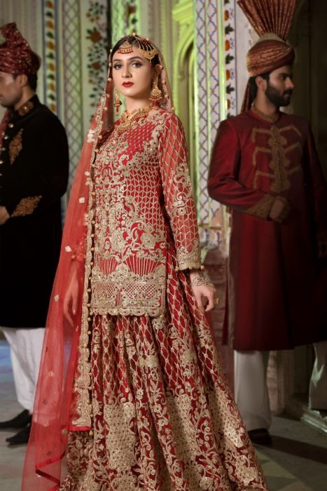 Maryum N Maria Embroidered Chiffon Handmade Sharara C-02